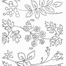 500 Embroidery Patterns The Briggs Collection