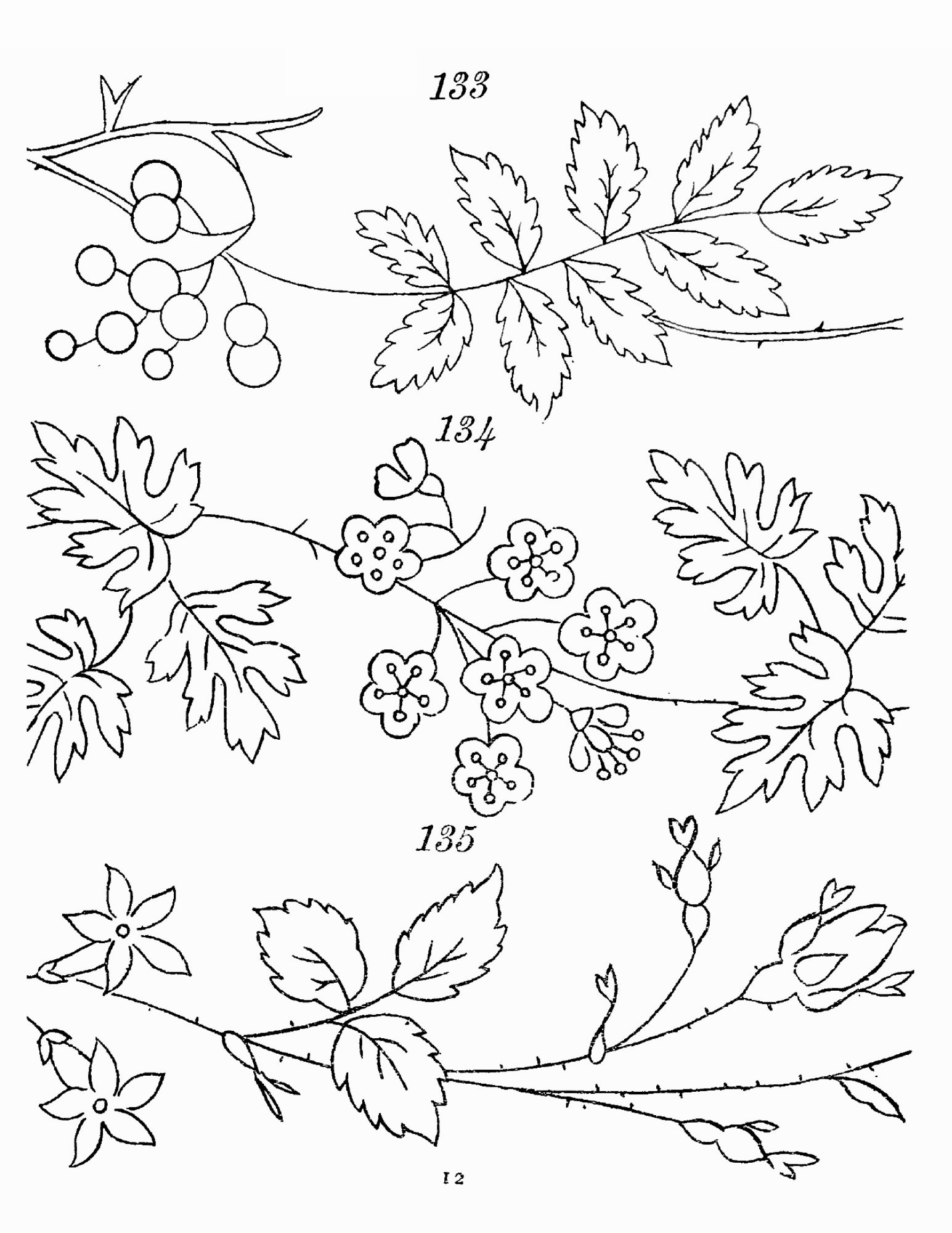 500 Embroidery Patterns The Briggs Collection