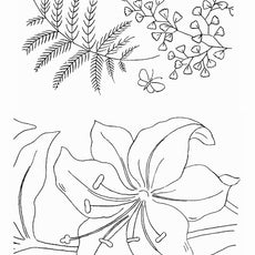 500 Embroidery Patterns The Briggs Collection