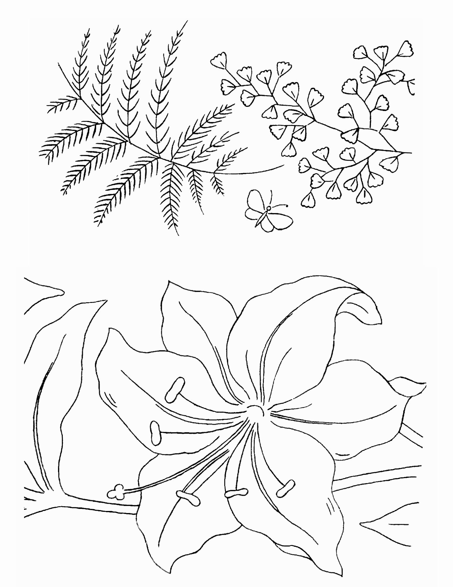 500 Embroidery Patterns The Briggs Collection