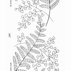 500 Embroidery Patterns The Briggs Collection