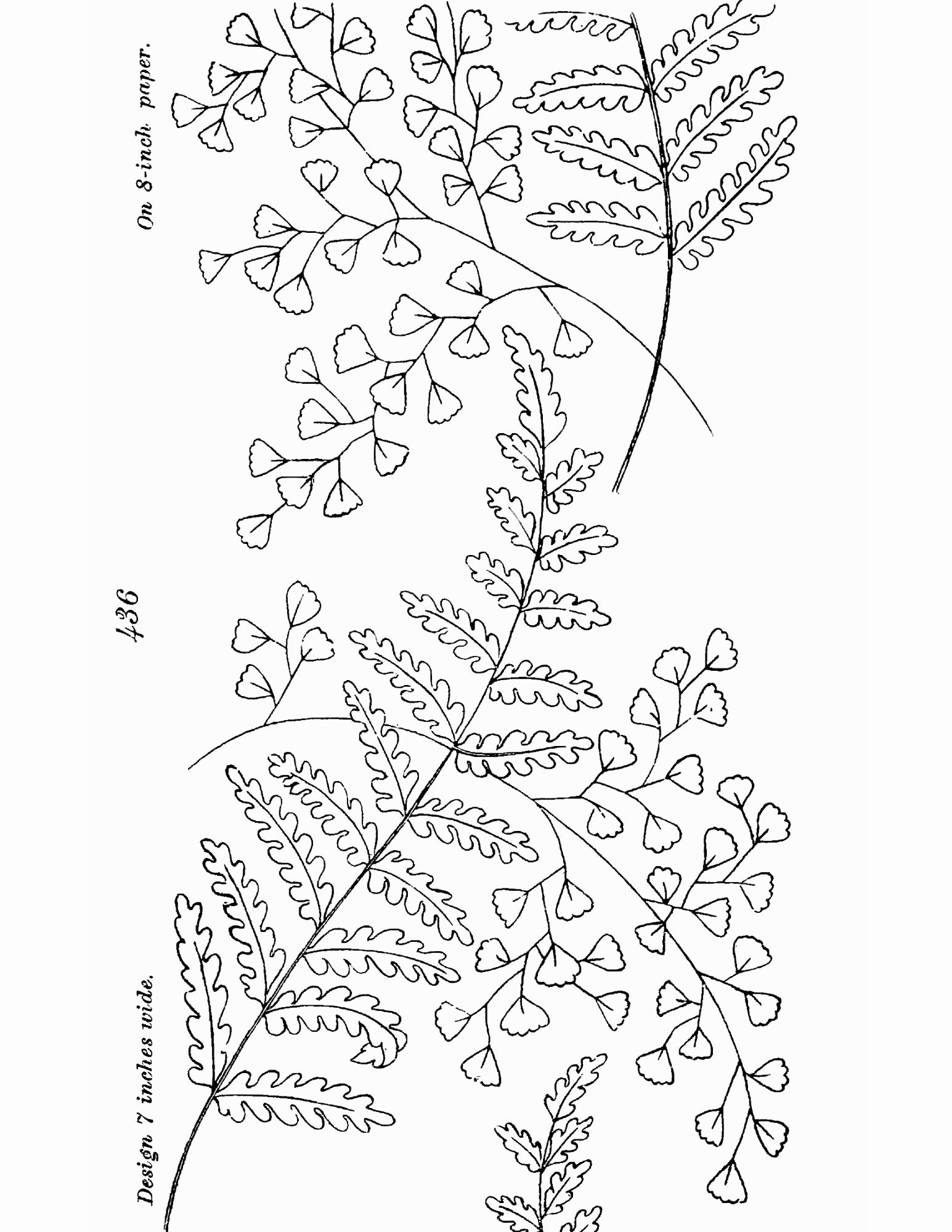 500 Embroidery Patterns The Briggs Collection