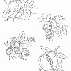 500 Embroidery Patterns The Briggs Collection