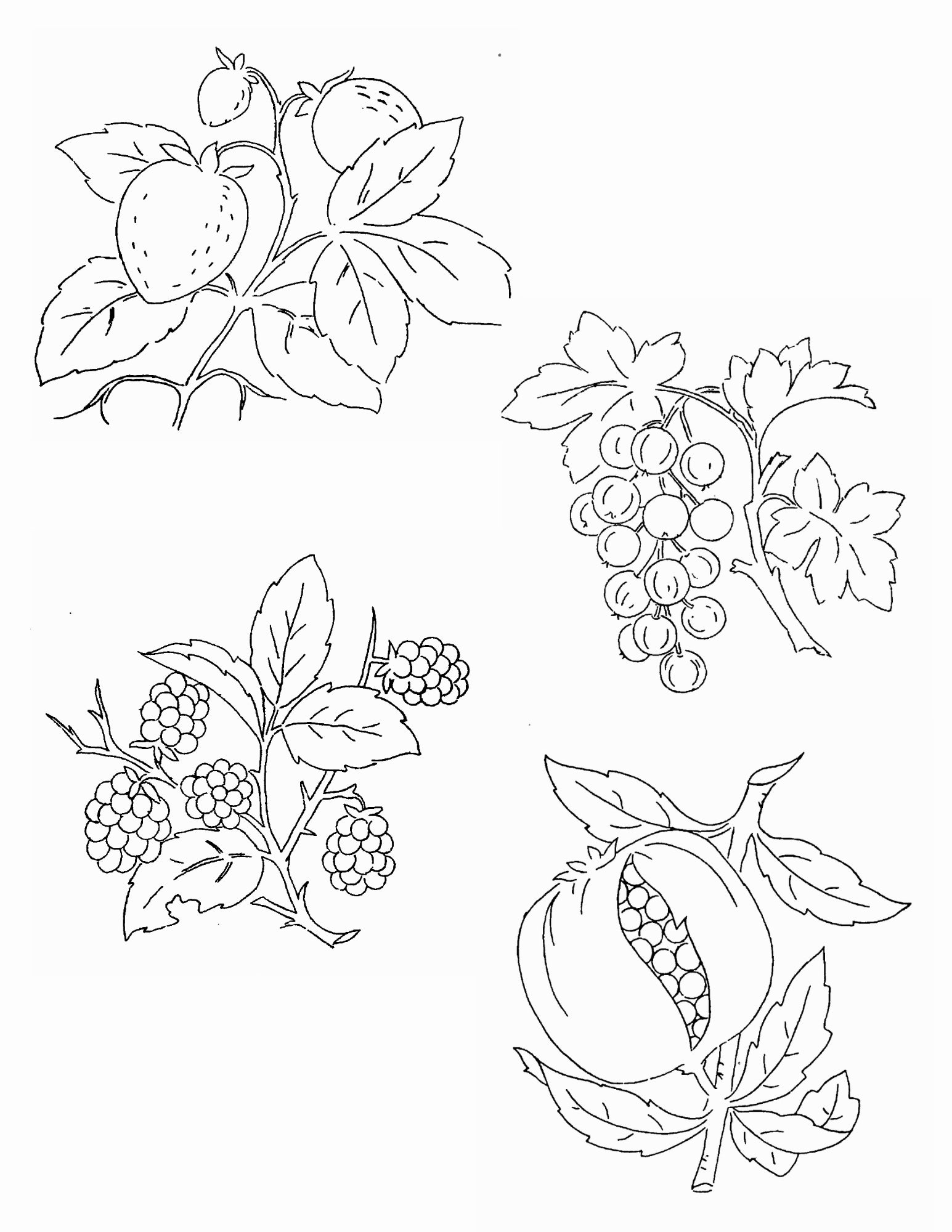 500 Embroidery Patterns The Briggs Collection
